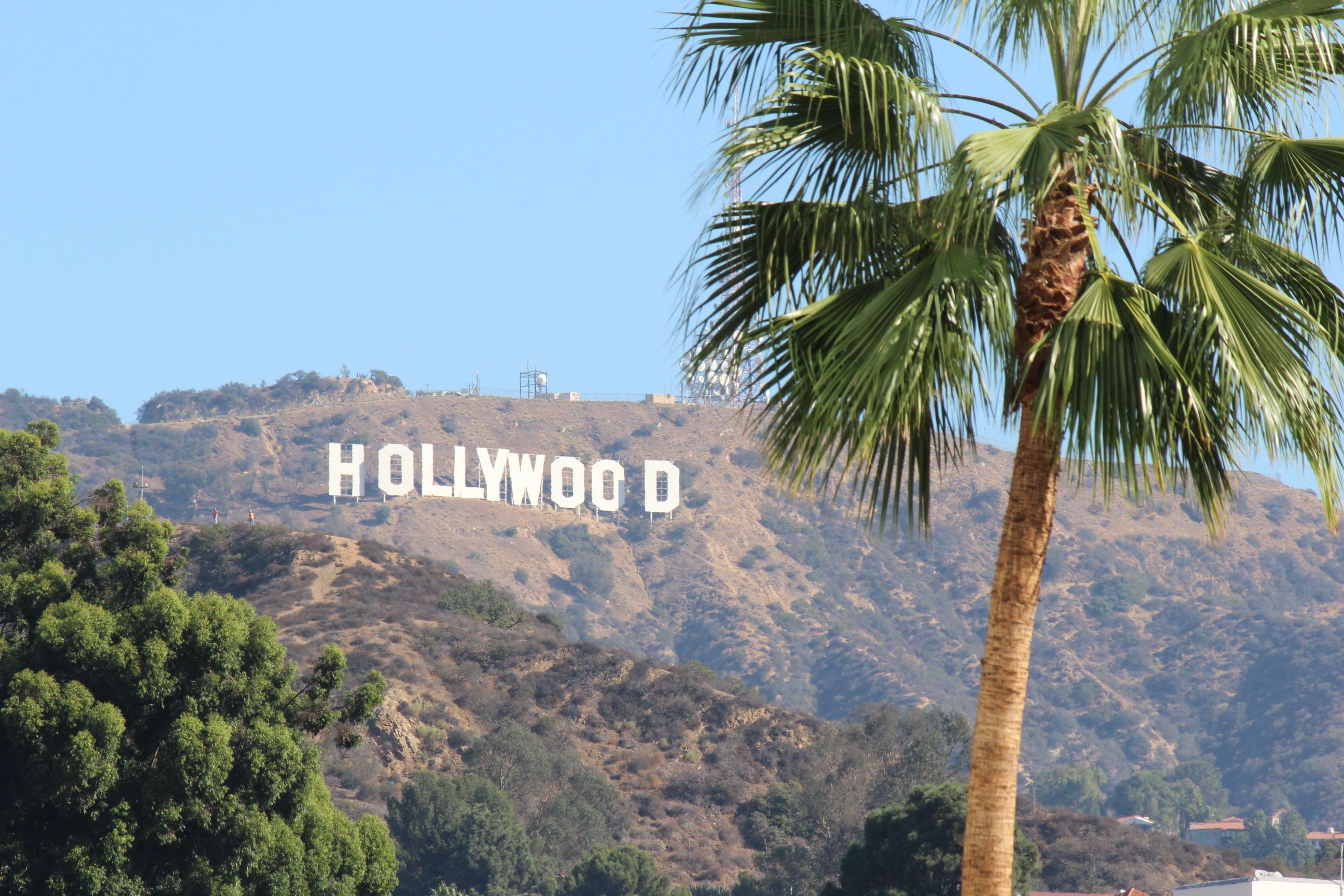 Забастовка остановлена